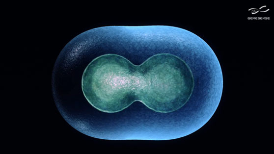 芯像生物企業(yè)簡介video