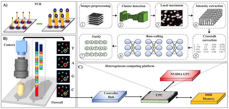 NVIDIA攜手GeneSense助力推動精準(zhǔn)化人工智能測序儀發(fā)展(圖1)